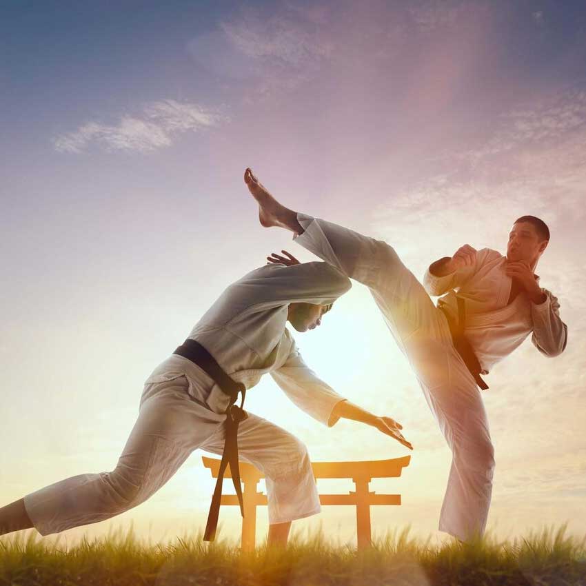 martial-arts-schools oviedo martial arts schools